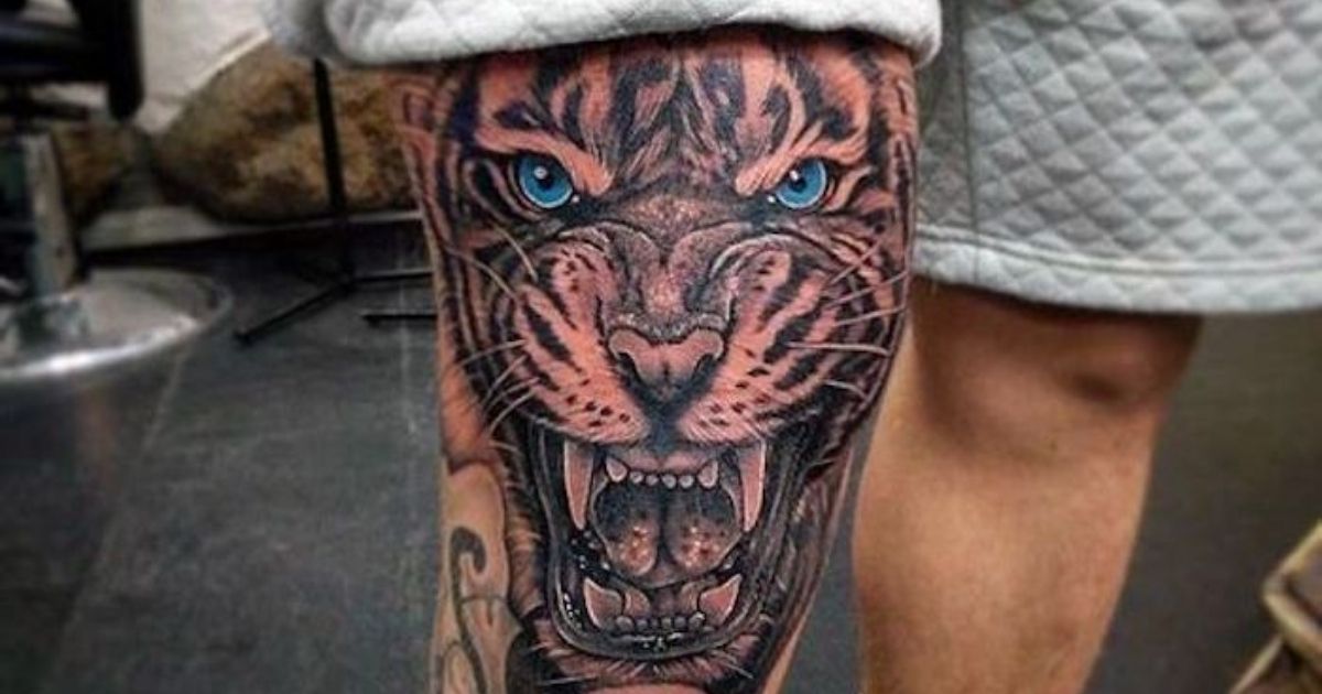 Tiger Knee Tattoo Tiger Knee Tattoo